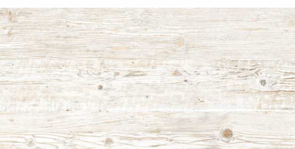 Sher Wood White