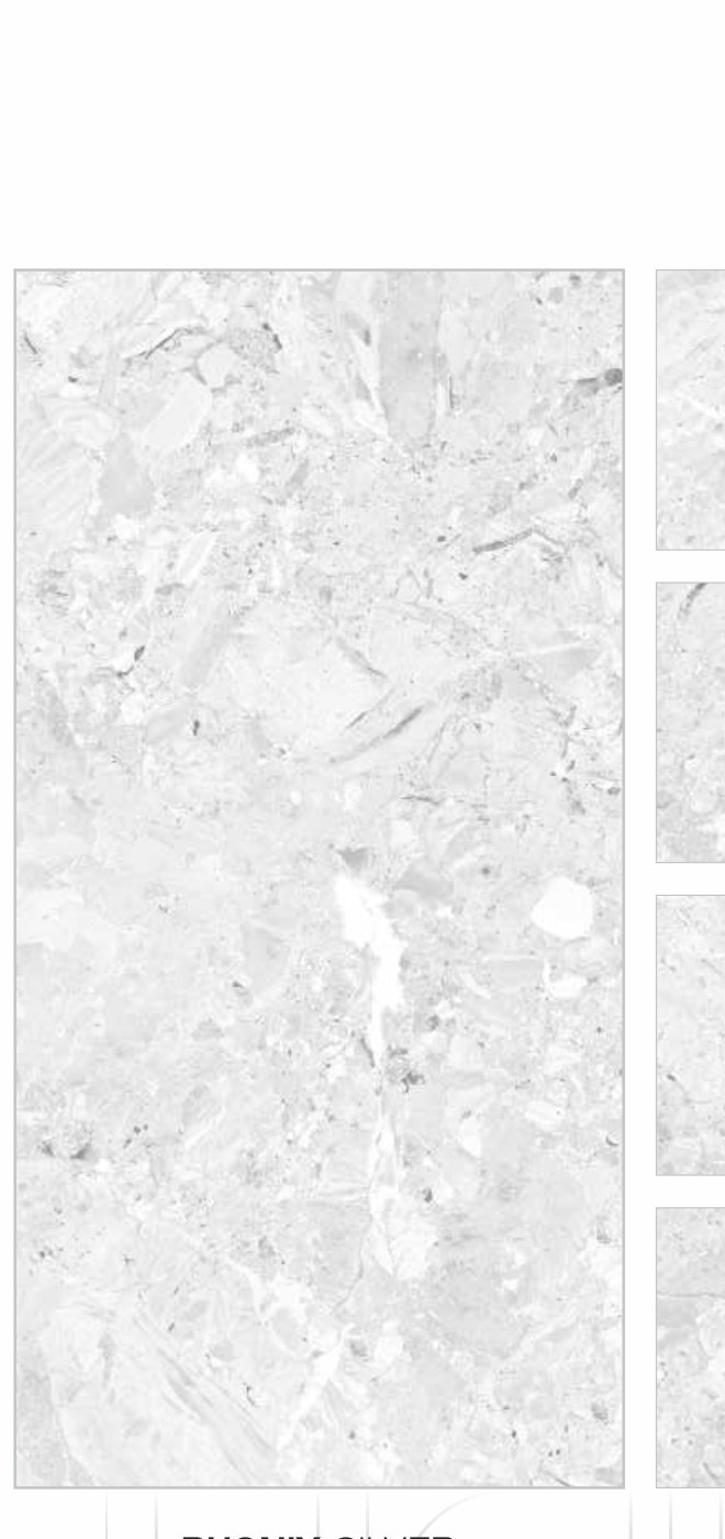 Phonix Silver